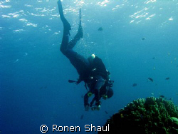 The underwater photographer by Ronen Shaul 